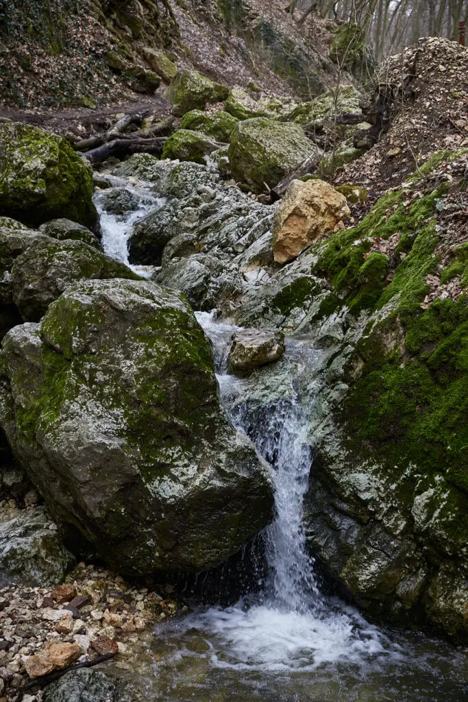 Dera4 683x1024