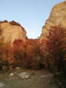 Néhány Lépésre a Róka-hegyen