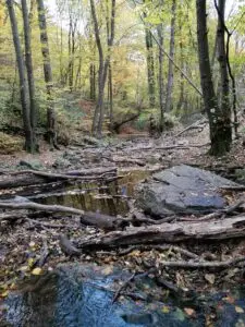 Dera-szurdok - 5KM - Rövidebb alkalmak