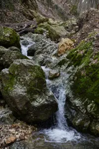 dera4